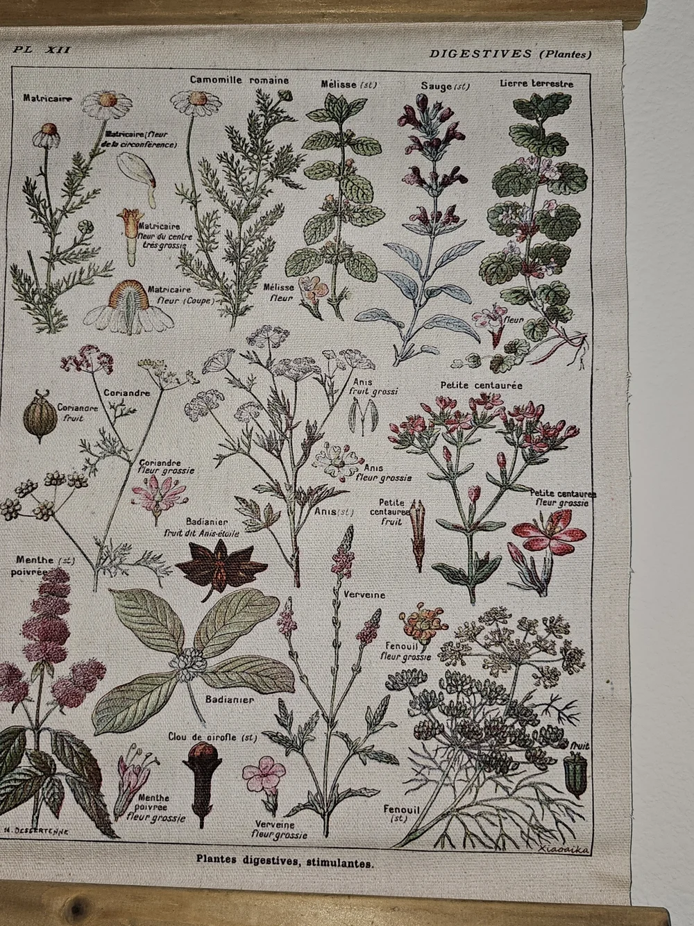 NWOT Botanical Herb Chart Wall Hanging - Beige & Green